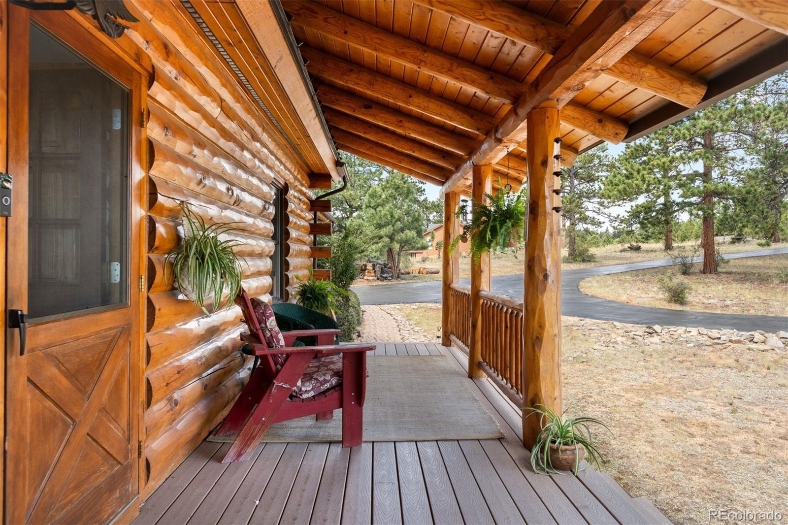 MLS Image #14 for 286  heron court,bailey, Colorado