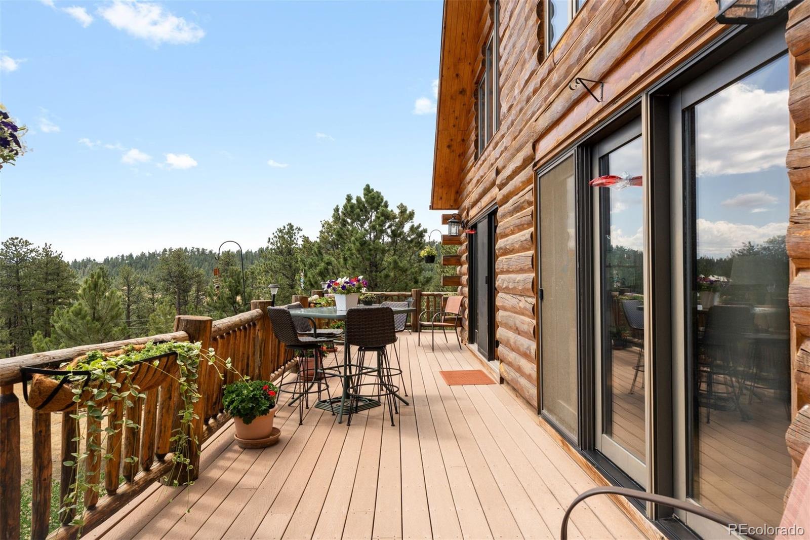 MLS Image #15 for 286  heron court,bailey, Colorado