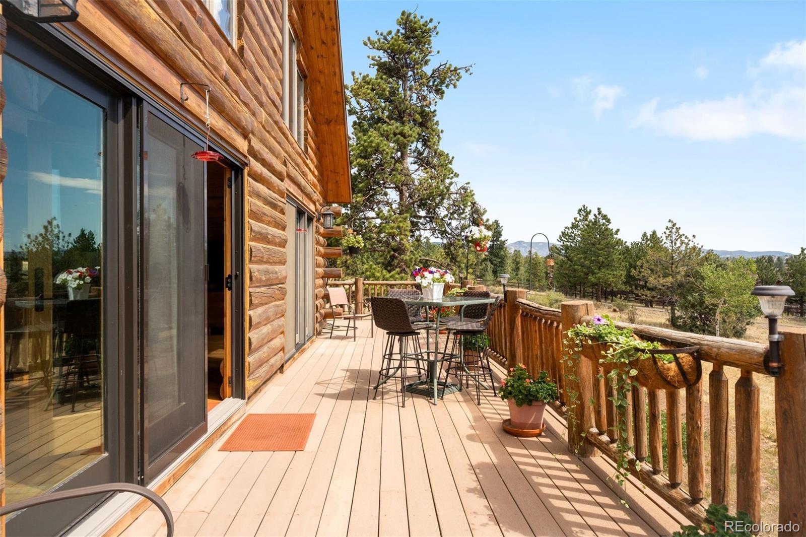 MLS Image #16 for 286  heron court,bailey, Colorado