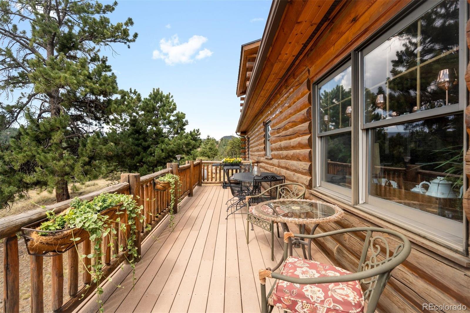 MLS Image #17 for 286  heron court,bailey, Colorado
