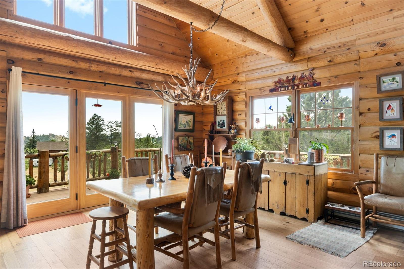 MLS Image #21 for 286  heron court,bailey, Colorado