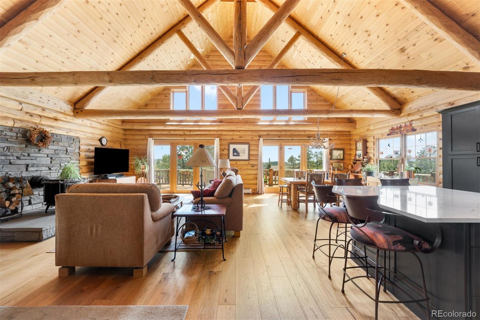 MLS Image #23 for 286  heron court,bailey, Colorado