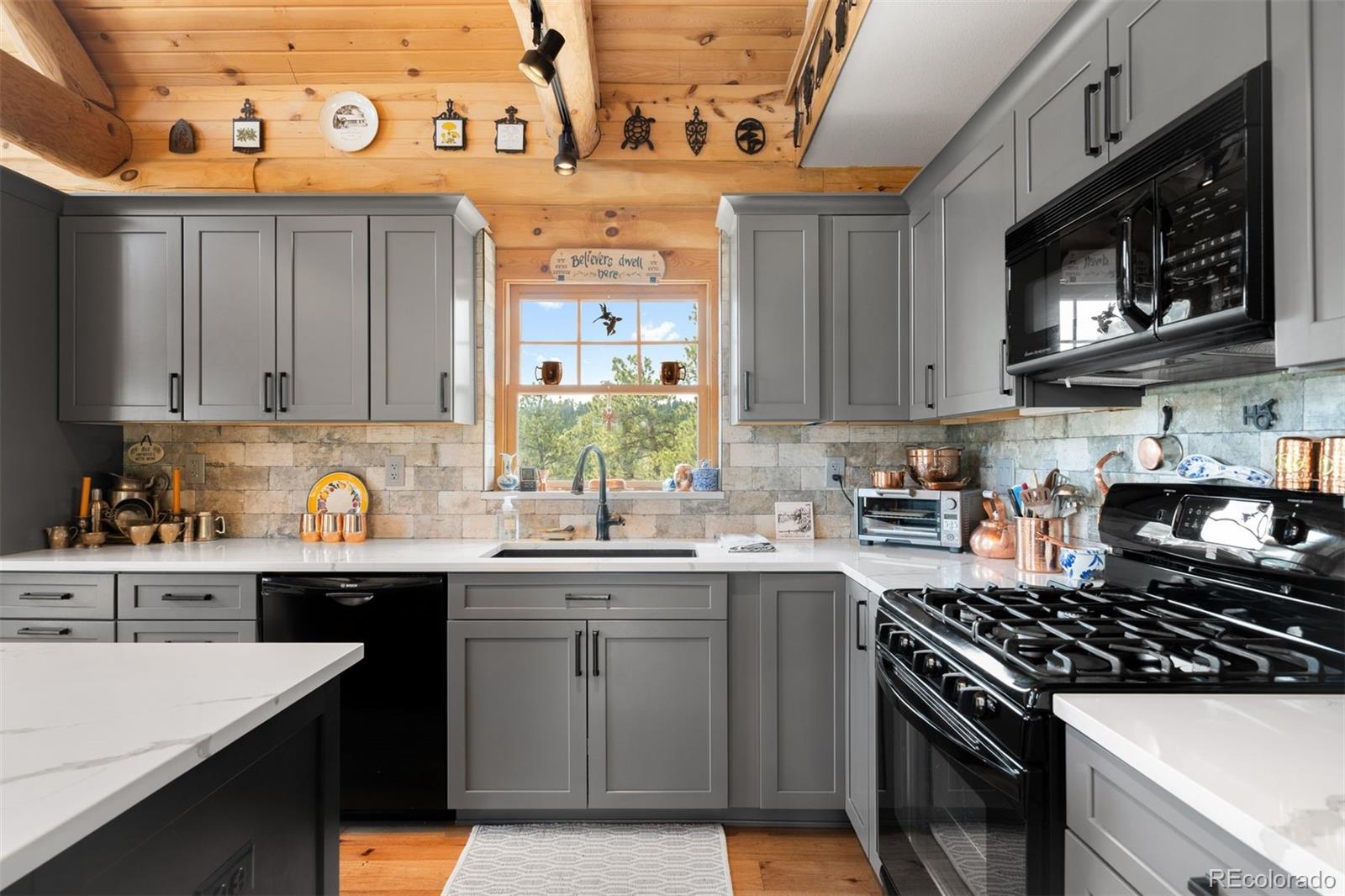 MLS Image #24 for 286  heron court,bailey, Colorado