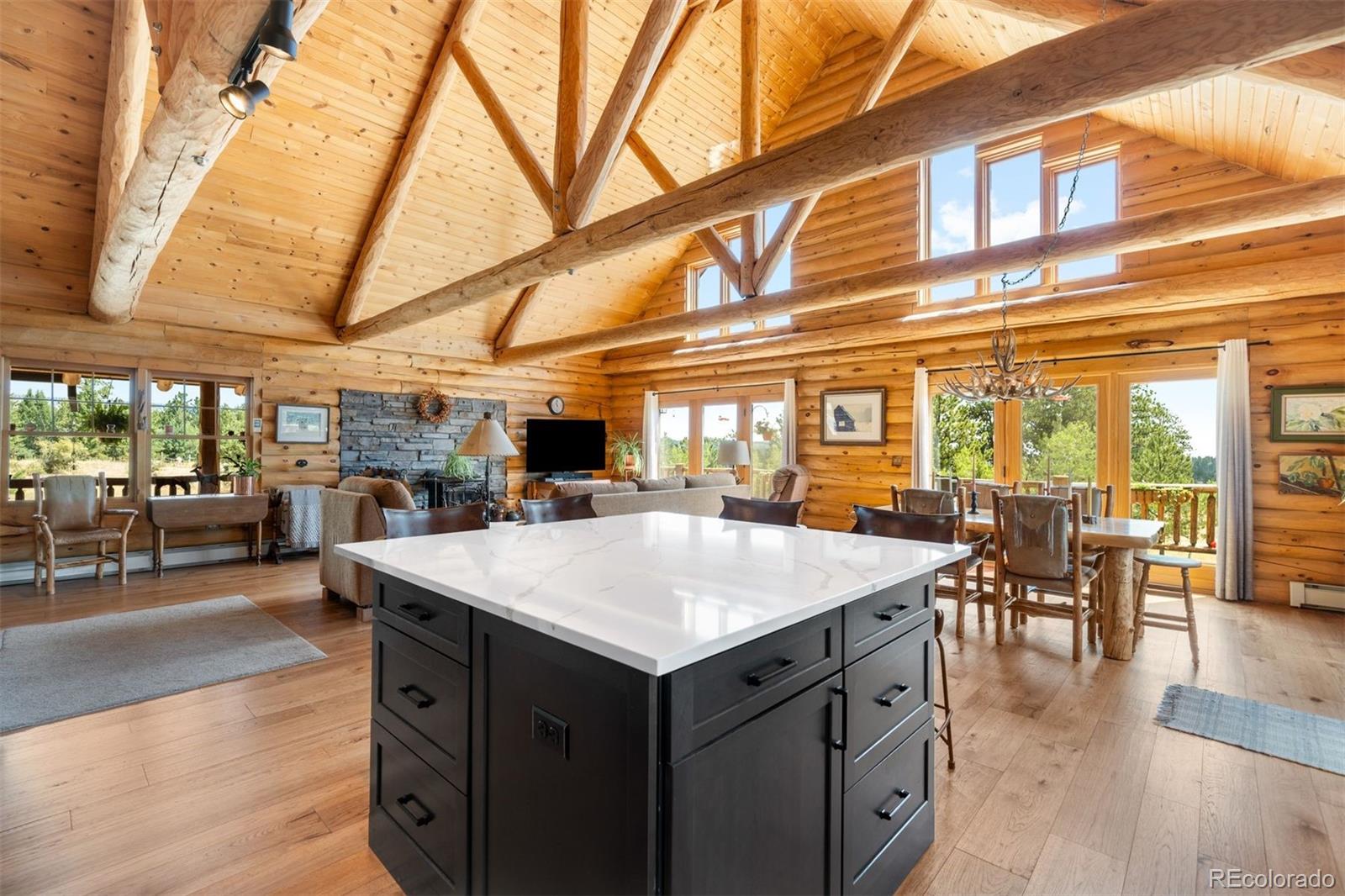 MLS Image #25 for 286  heron court,bailey, Colorado