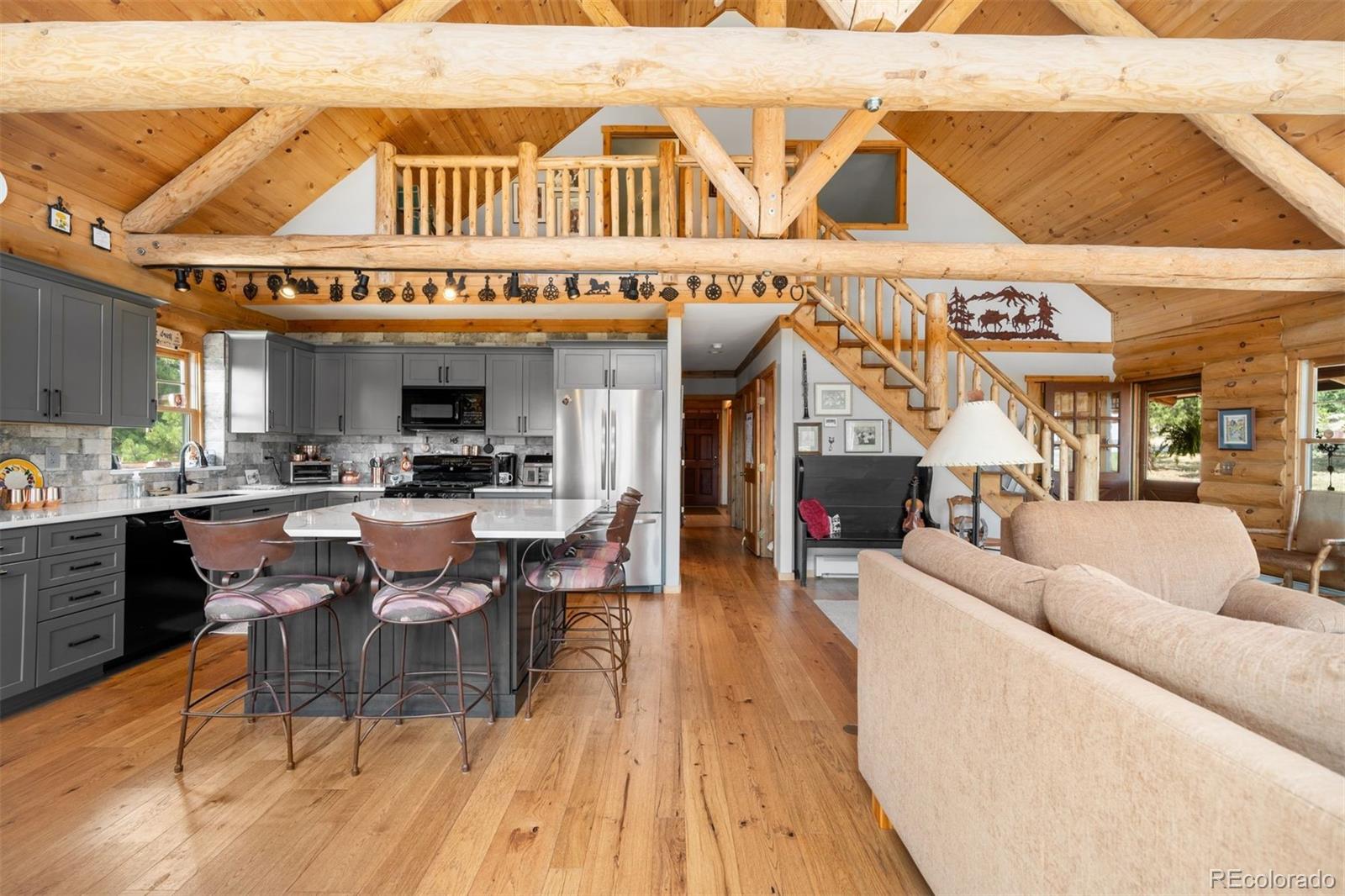 MLS Image #26 for 286  heron court,bailey, Colorado