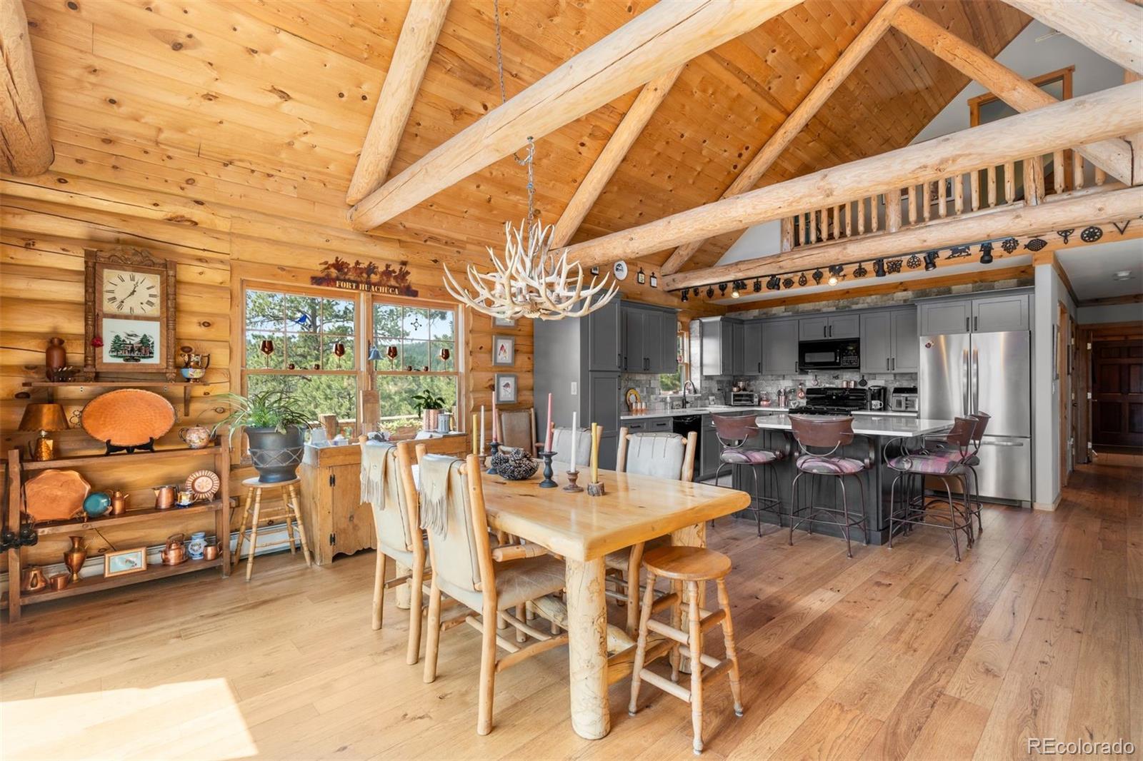MLS Image #28 for 286  heron court,bailey, Colorado