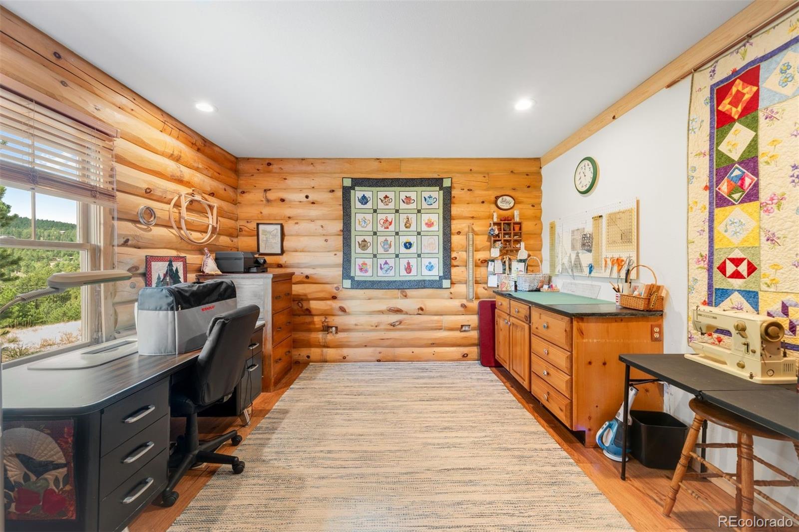 MLS Image #30 for 286  heron court,bailey, Colorado