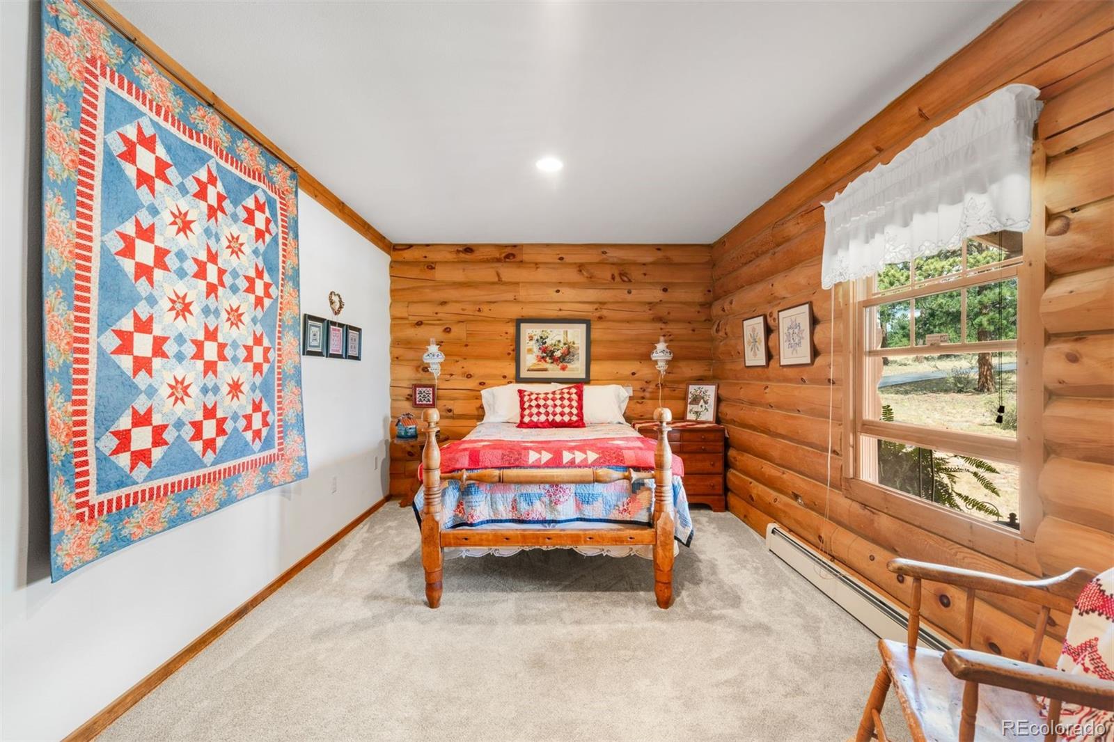 MLS Image #32 for 286  heron court,bailey, Colorado