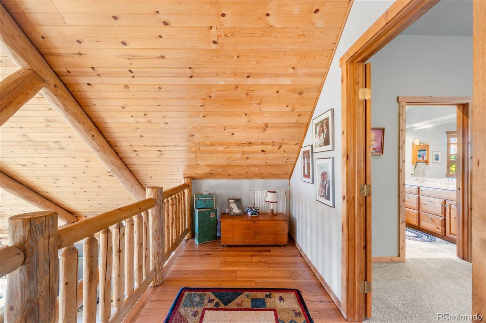 MLS Image #43 for 286  heron court,bailey, Colorado