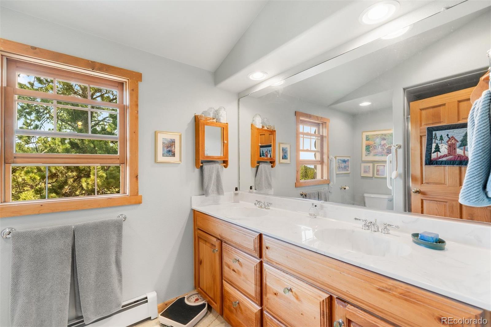 MLS Image #46 for 286  heron court,bailey, Colorado