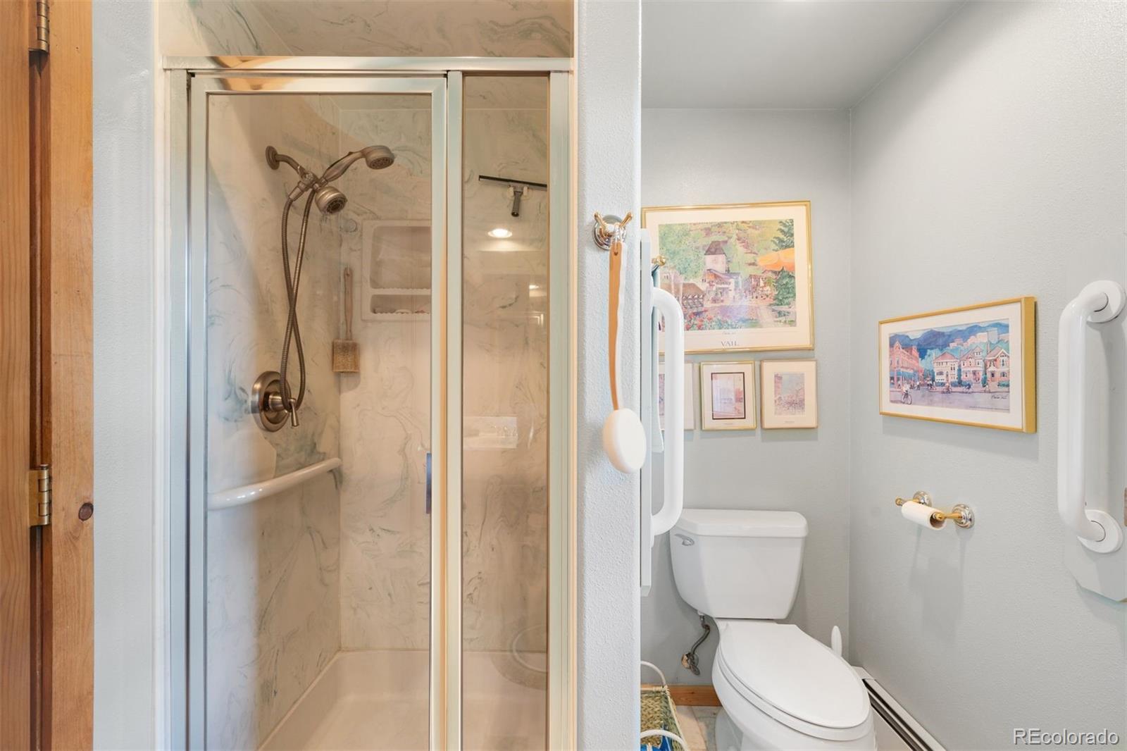 MLS Image #47 for 286  heron court,bailey, Colorado