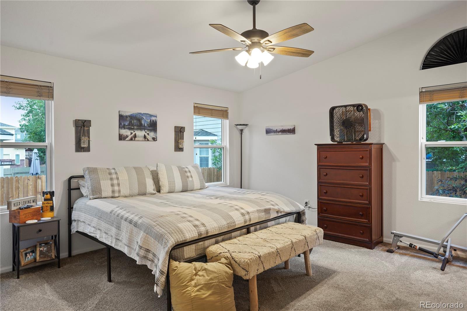MLS Image #11 for 6536  frank gardner way,parker, Colorado