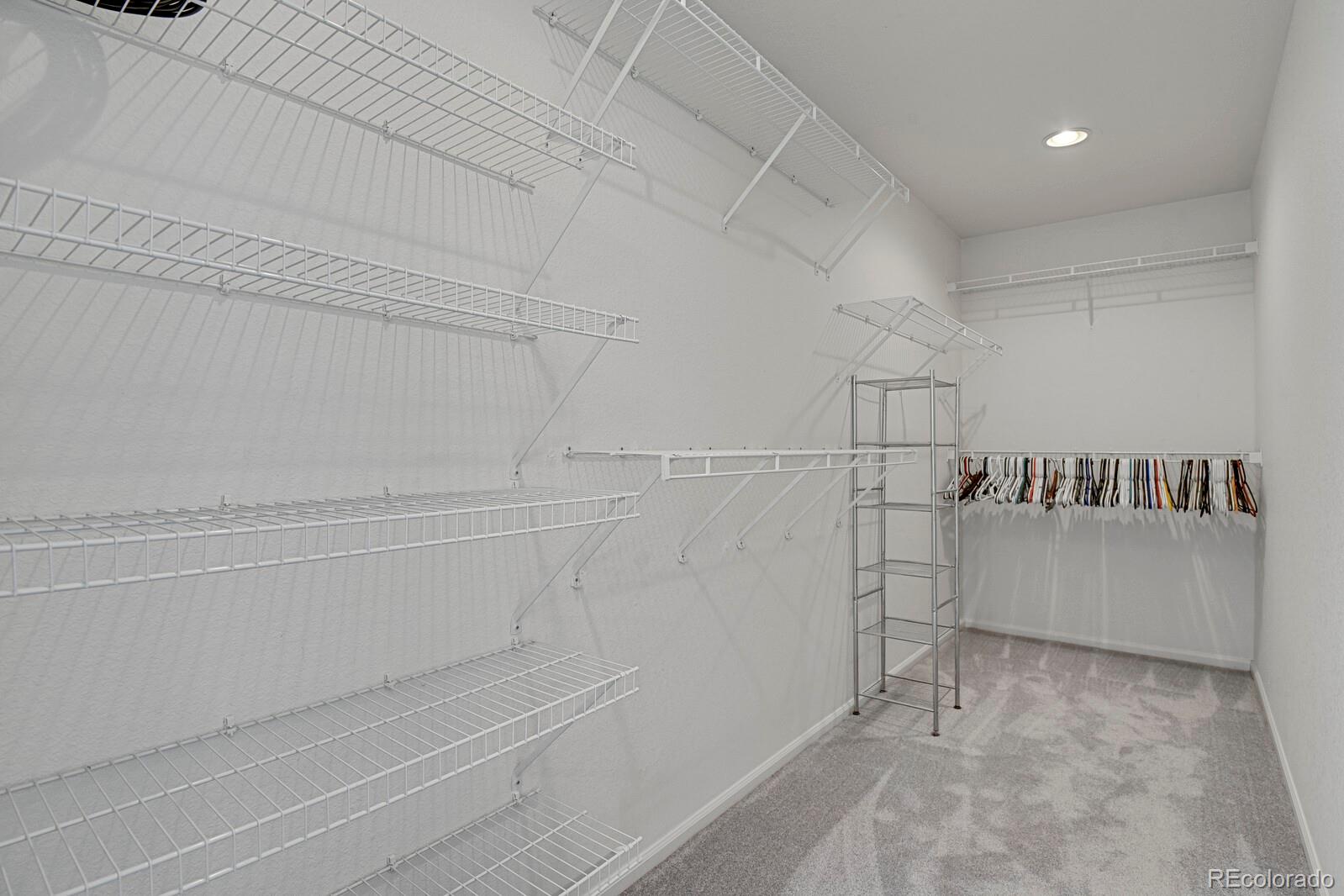 MLS Image #21 for 3742  dinosaur street,castle rock, Colorado