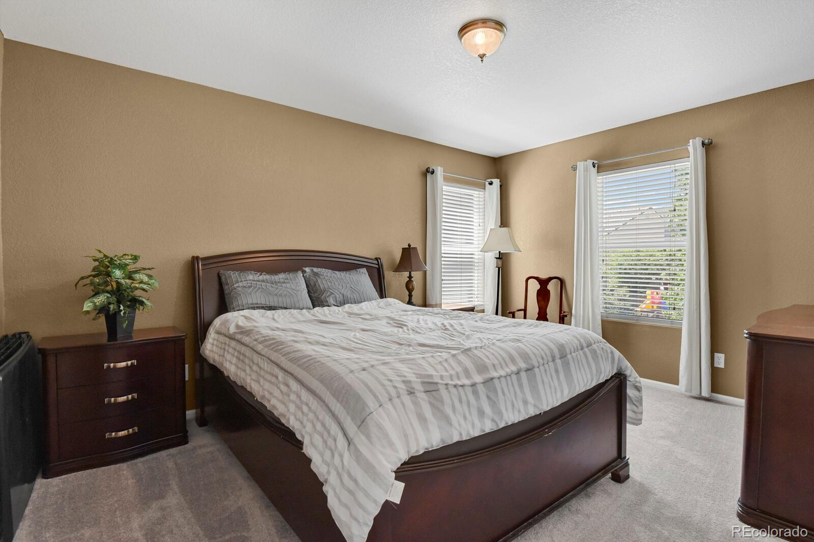 MLS Image #25 for 3742  dinosaur street,castle rock, Colorado