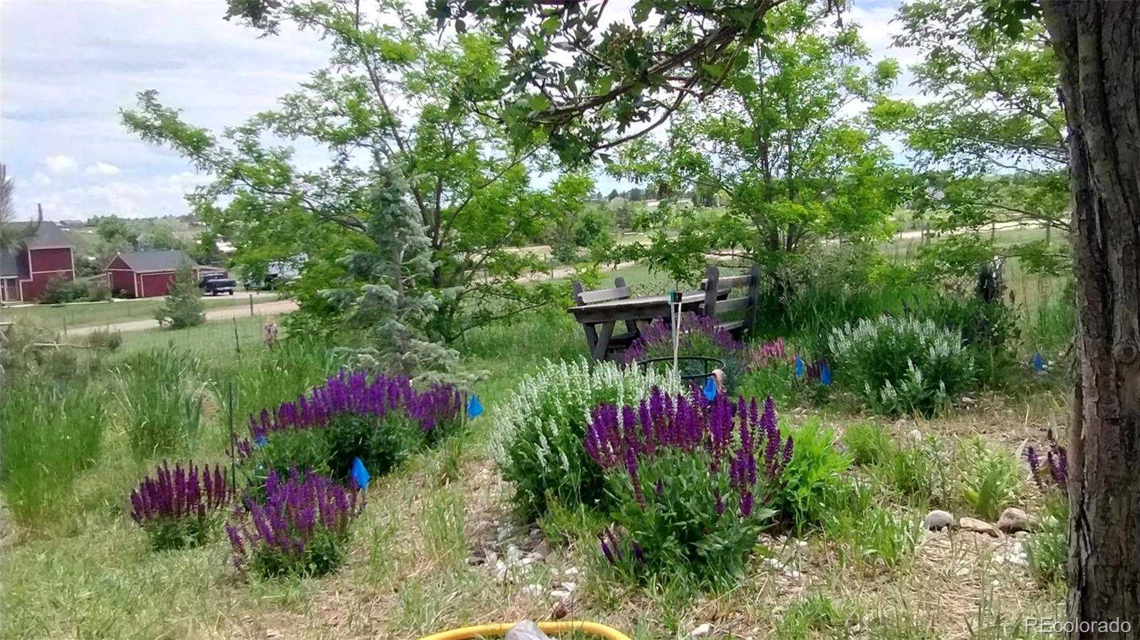 MLS Image #24 for 7840  shenandoah drive,elizabeth, Colorado