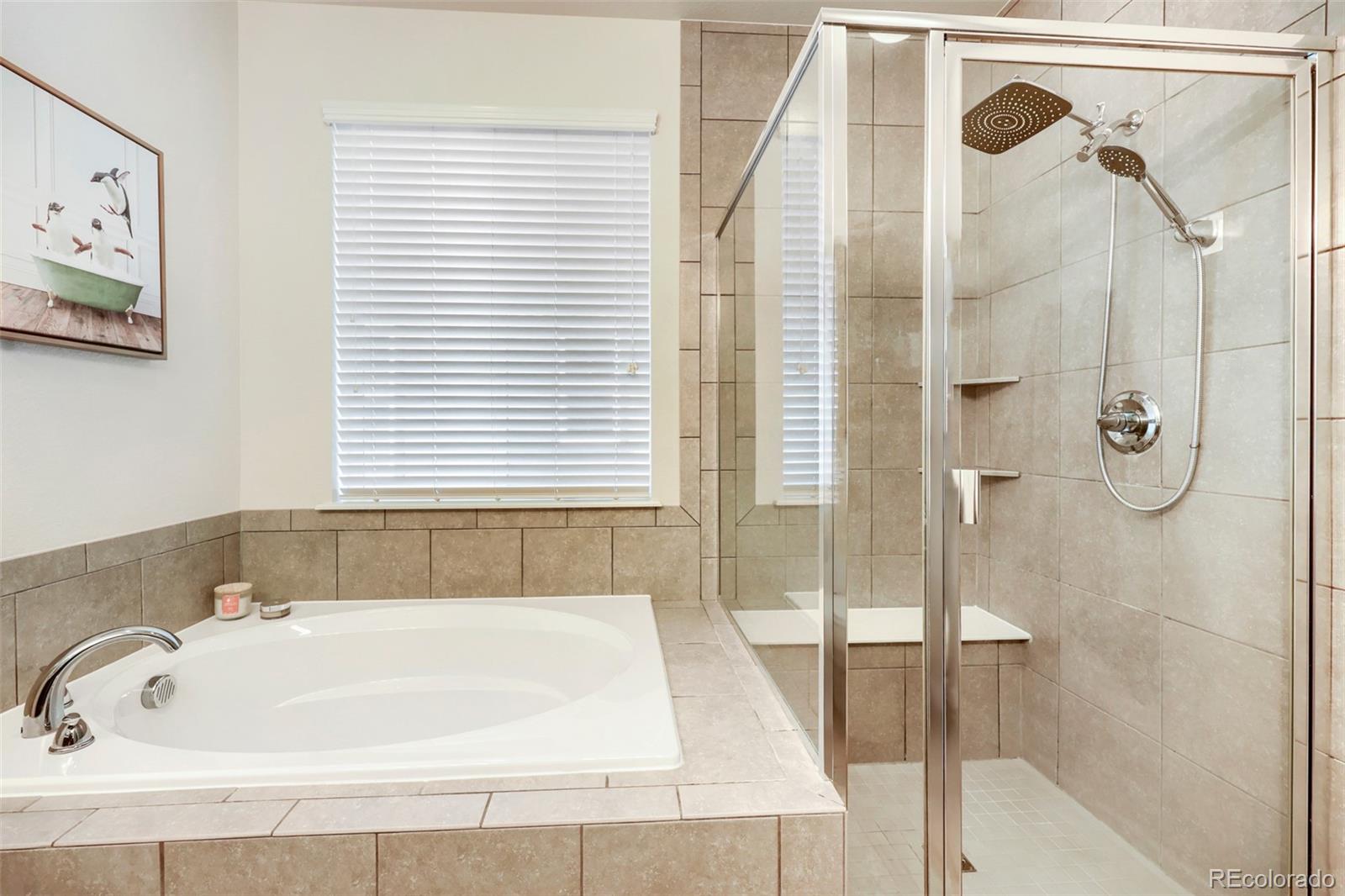 MLS Image #18 for 1140  preble court,castle rock, Colorado