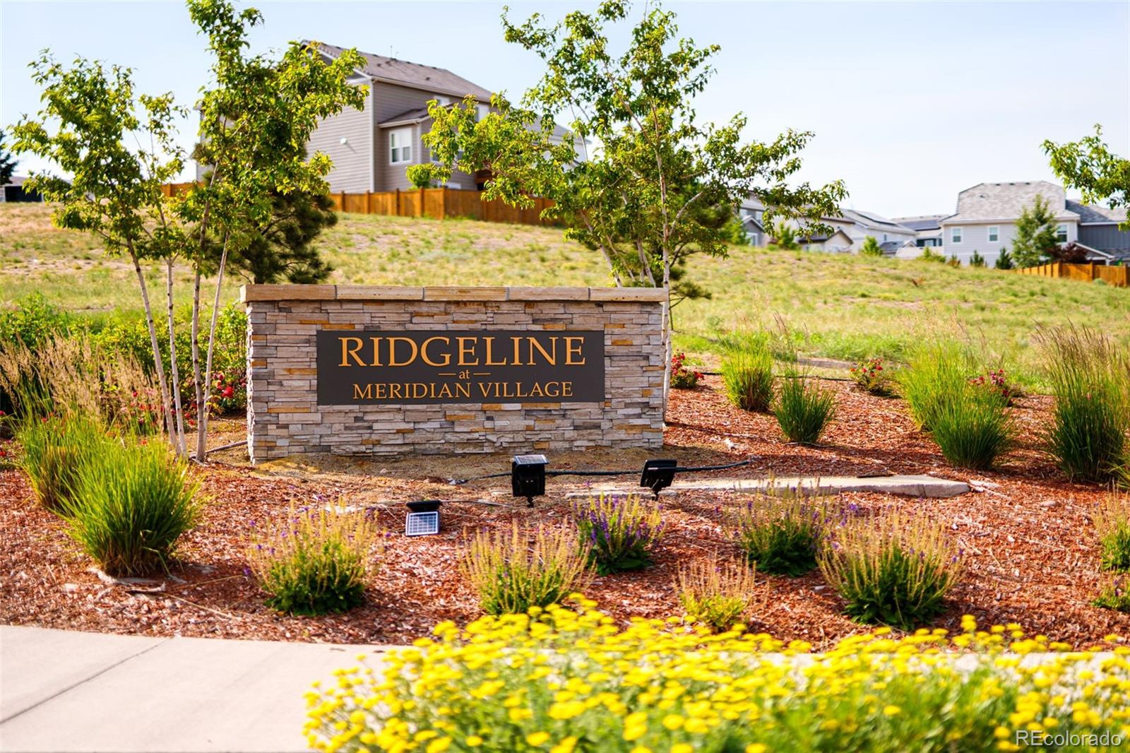 MLS Image #42 for 14925  pepper pike drive,parker, Colorado