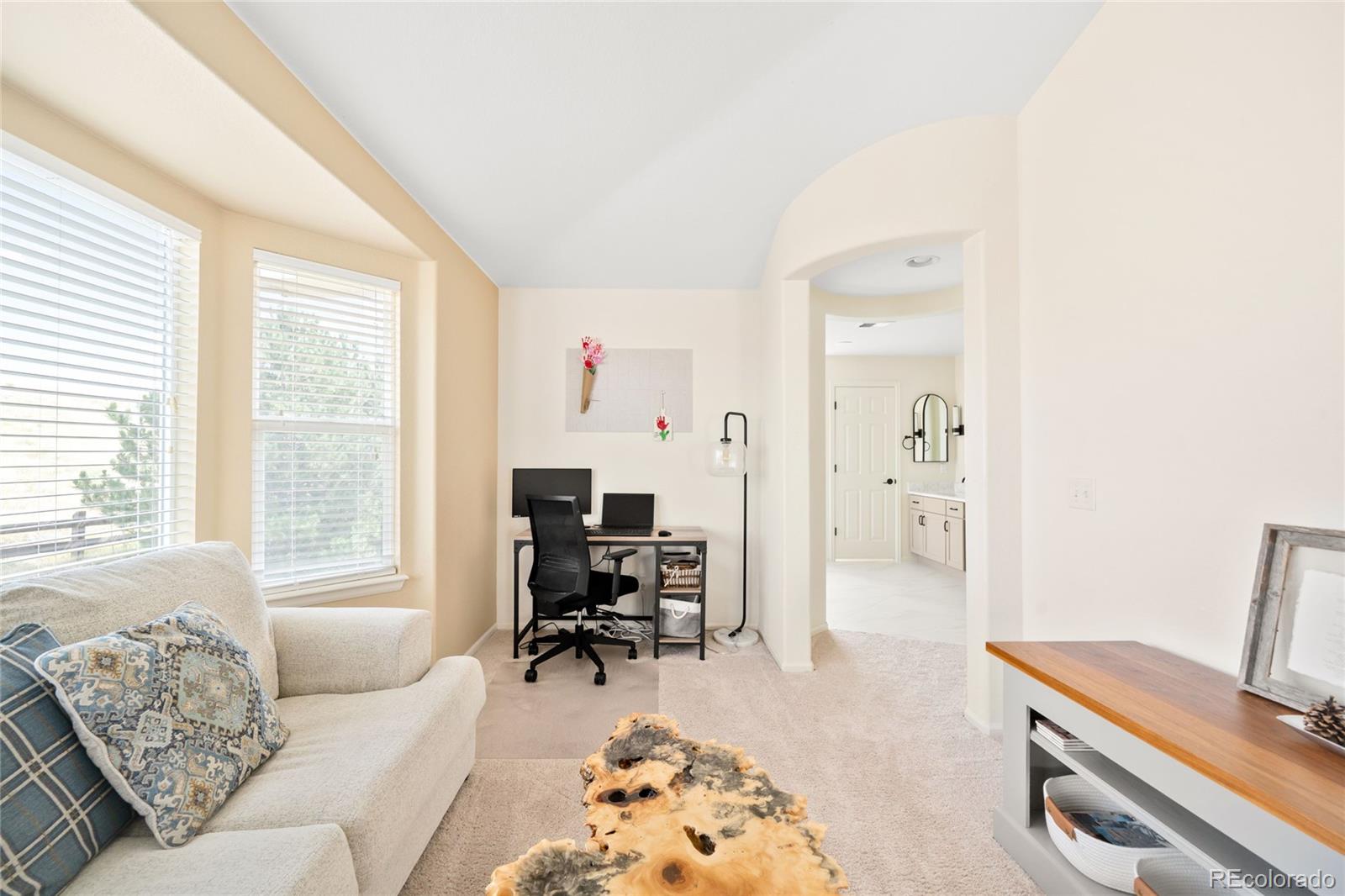 MLS Image #24 for 15999 e summit fox avenue,parker, Colorado