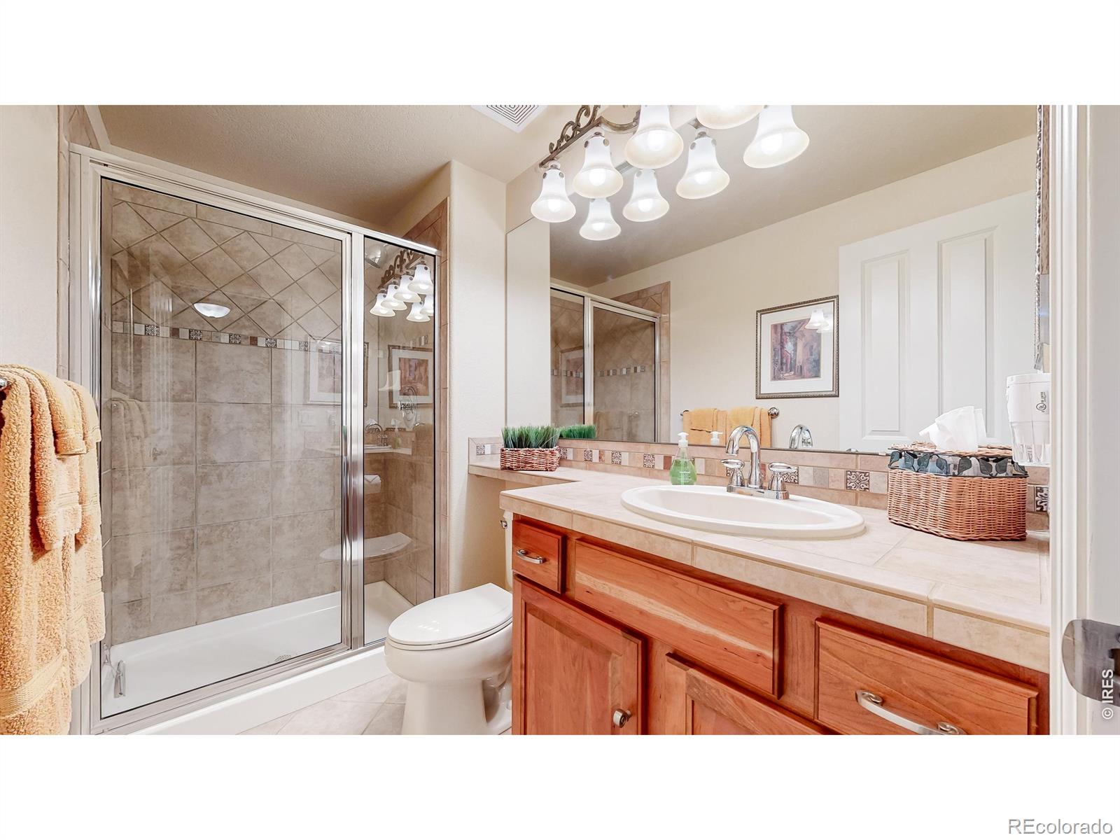 MLS Image #36 for 6874  spanish bay drive,windsor, Colorado