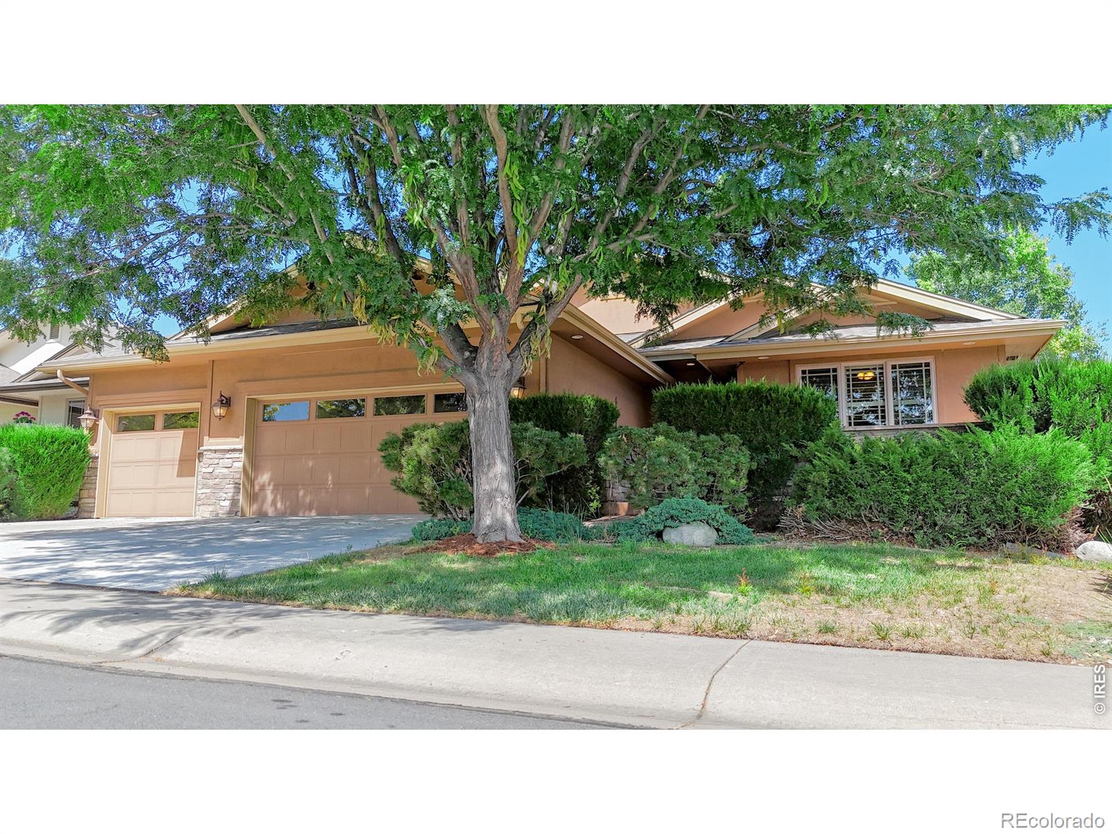 MLS Image #6 for 6874  spanish bay drive,windsor, Colorado