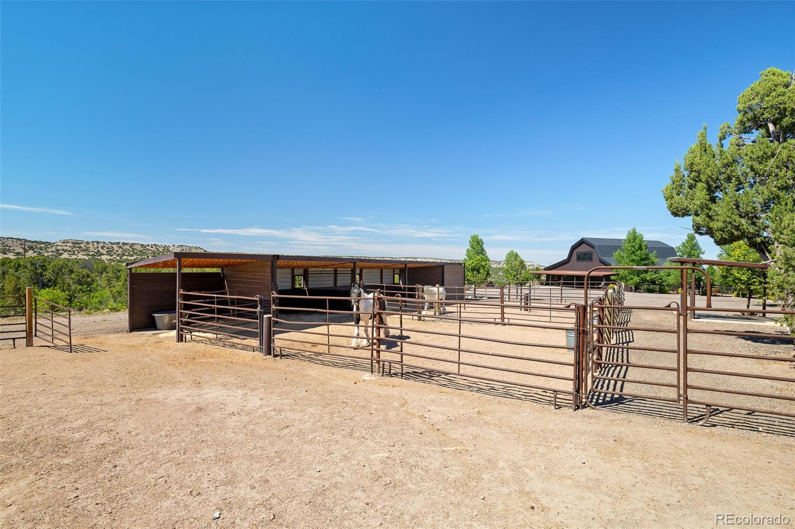 MLS Image #36 for 7445  pinon heights,pueblo, Colorado