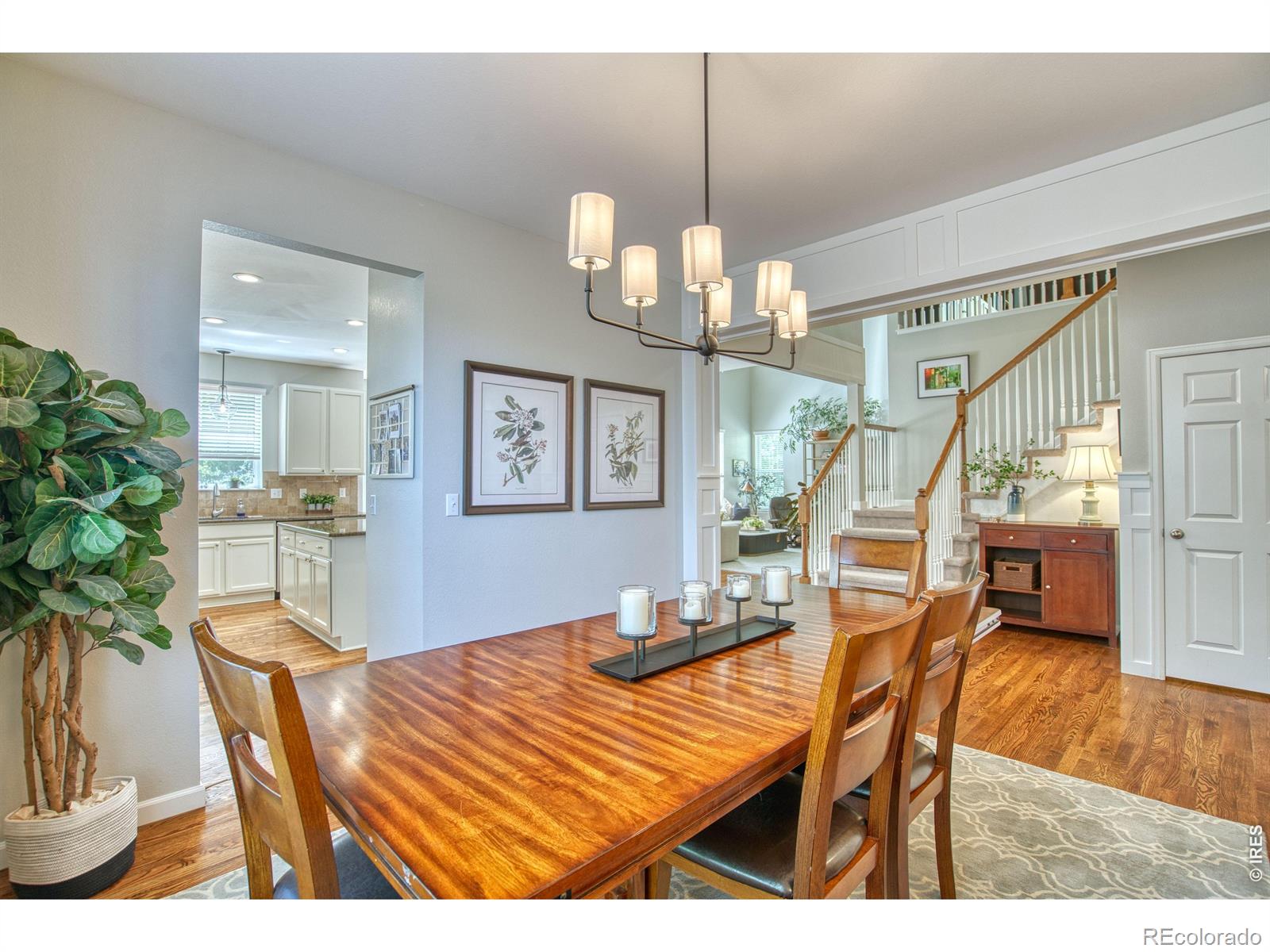 MLS Image #6 for 4933  eagan circle,longmont, Colorado