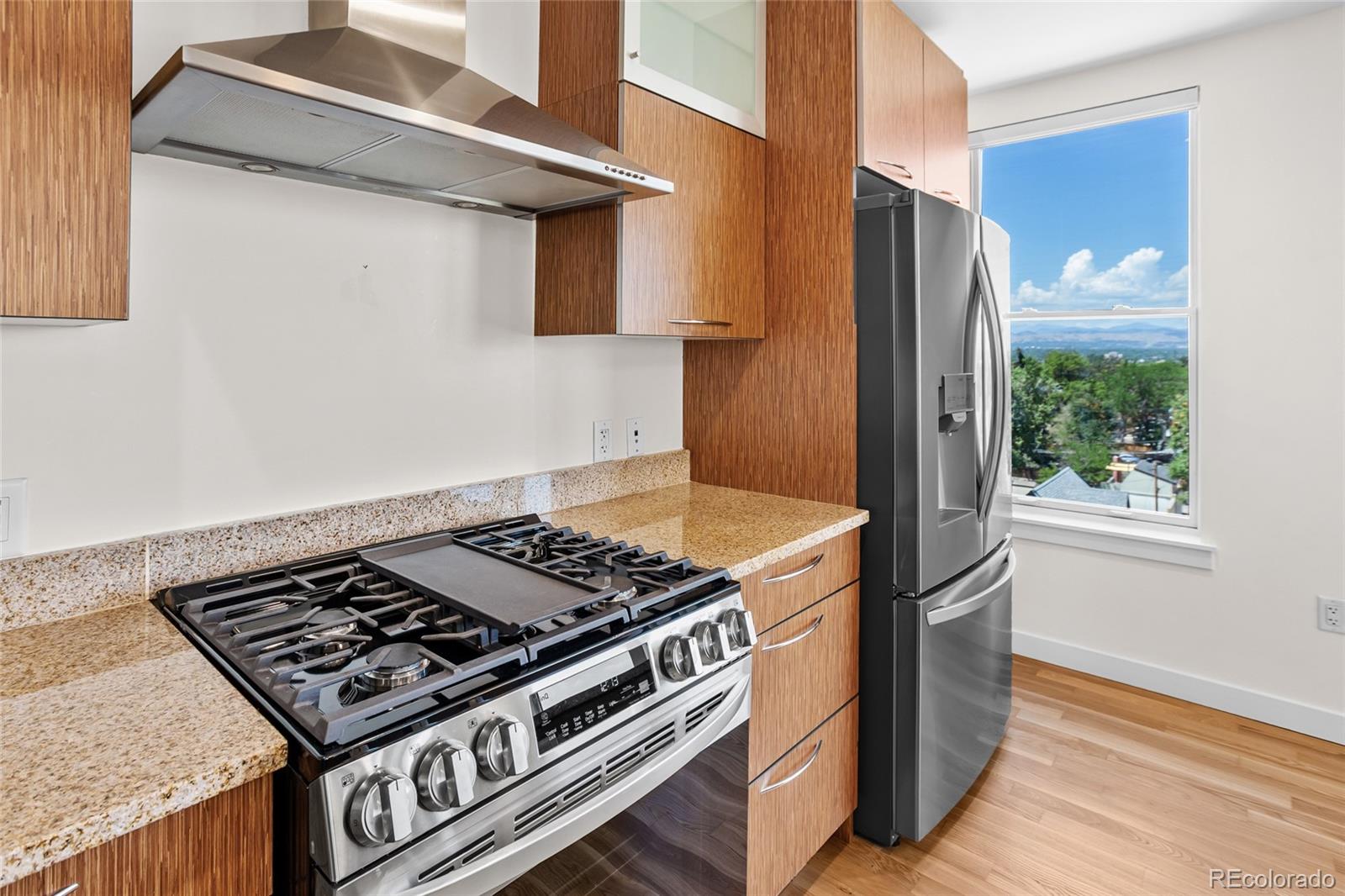 MLS Image #12 for 410  acoma street,denver, Colorado