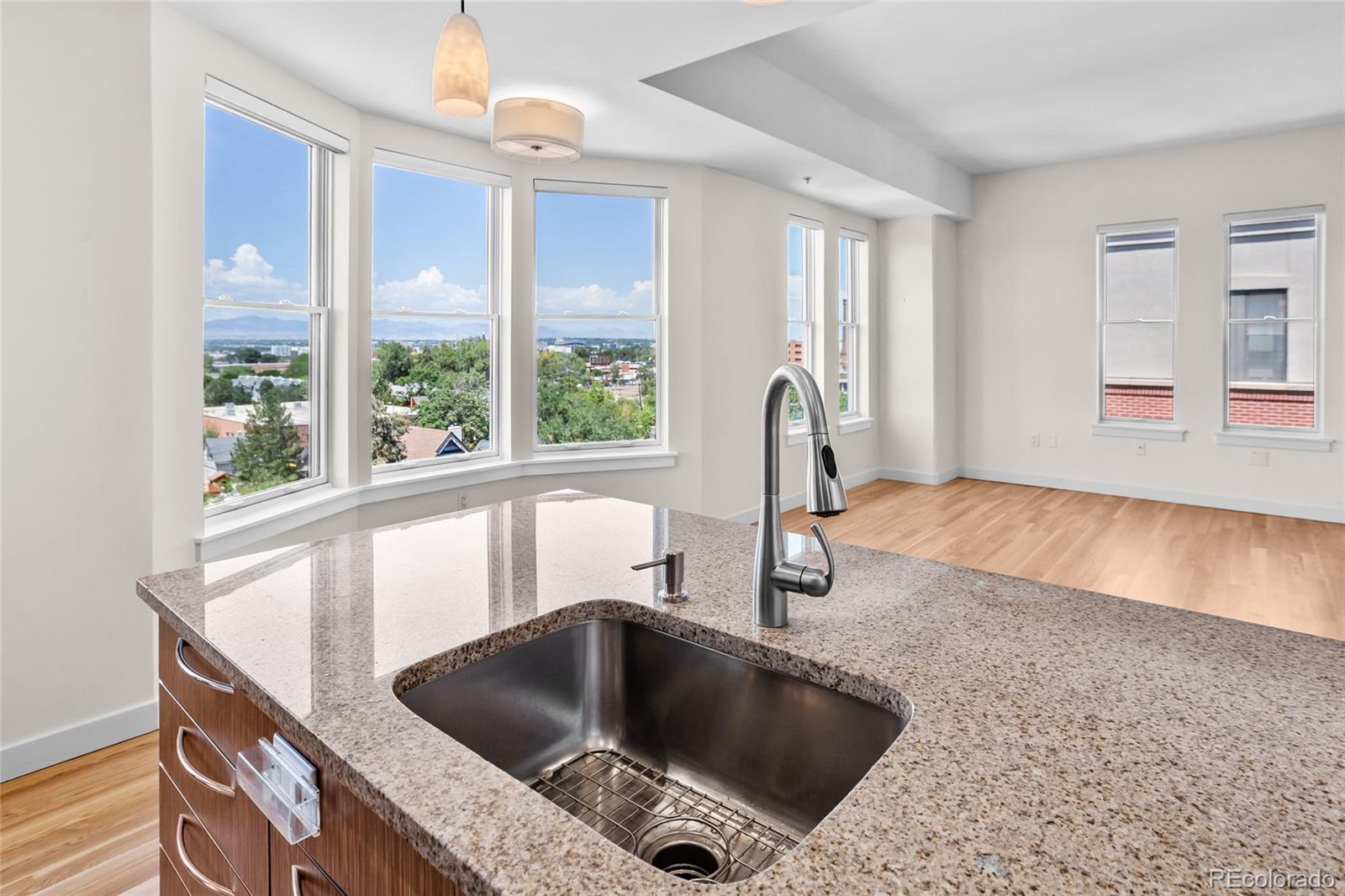 MLS Image #4 for 410  acoma street,denver, Colorado