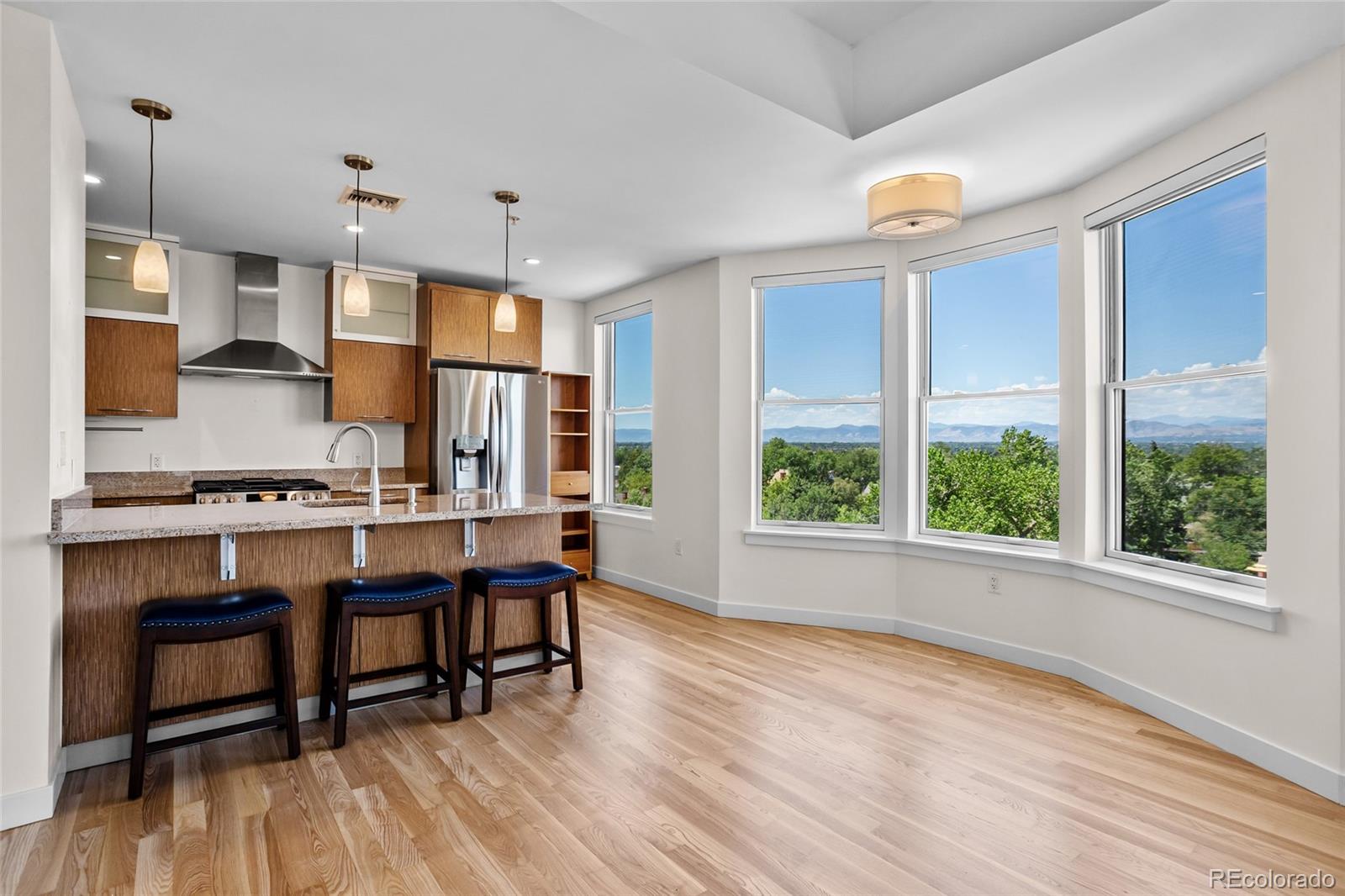 MLS Image #5 for 410  acoma street,denver, Colorado