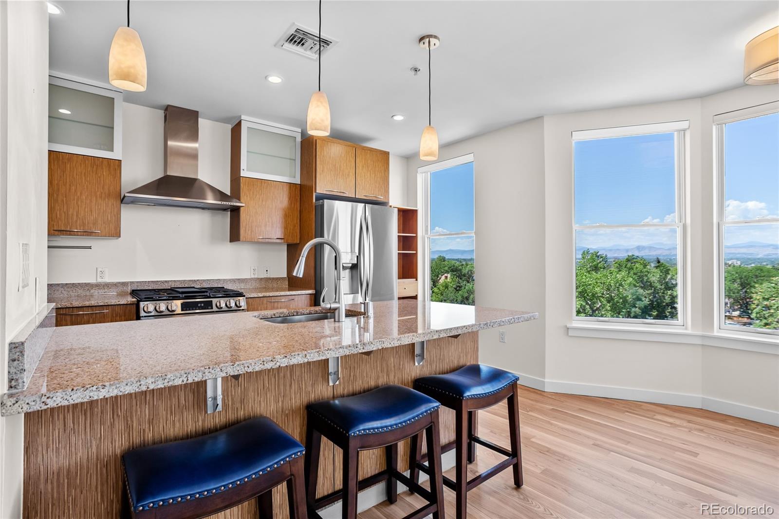MLS Image #6 for 410  acoma street,denver, Colorado