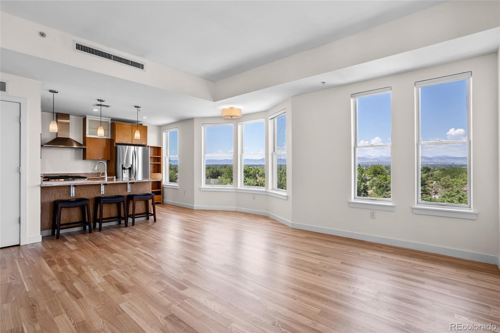 MLS Image #7 for 410  acoma street,denver, Colorado