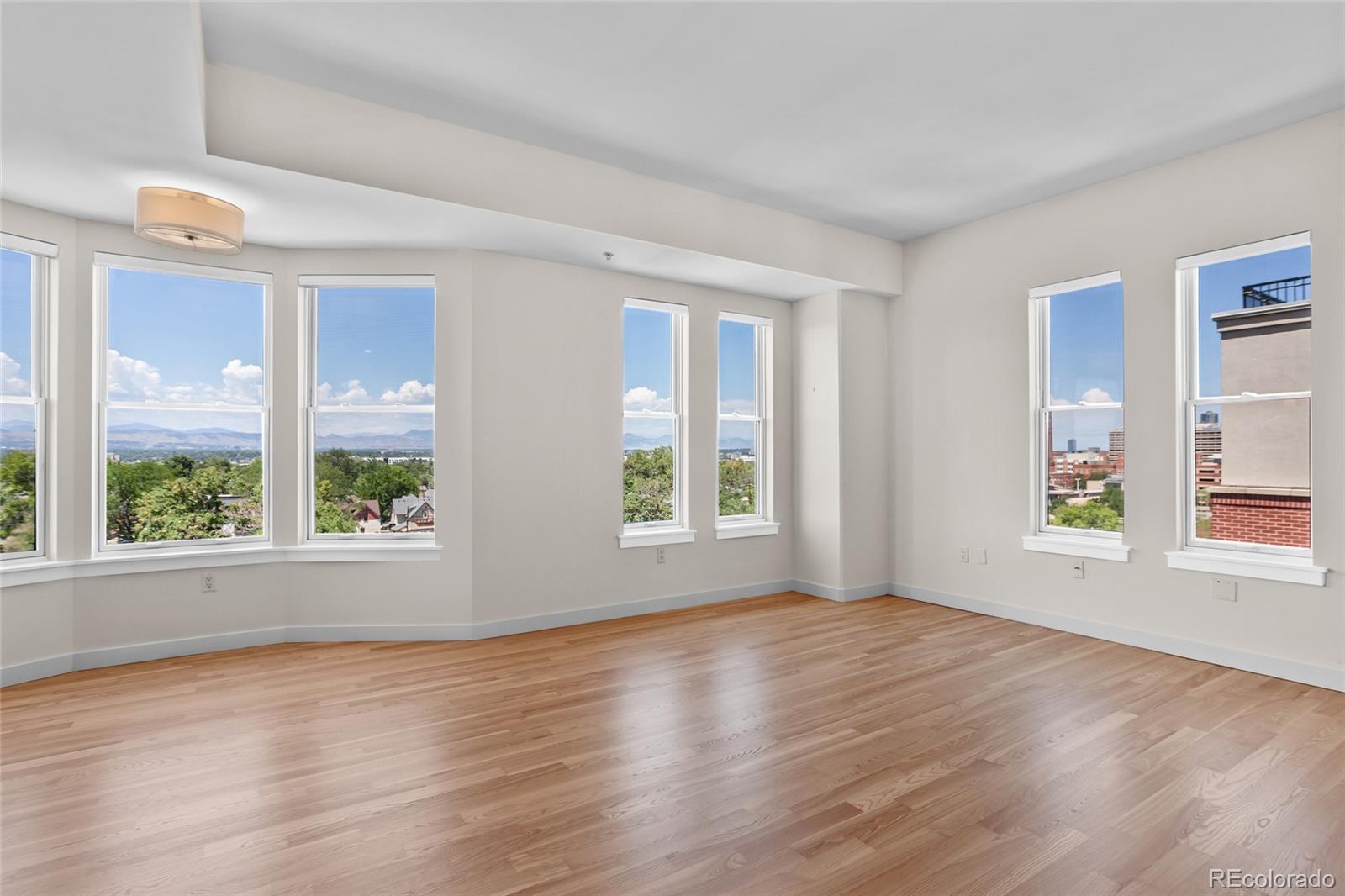 MLS Image #8 for 410  acoma street,denver, Colorado
