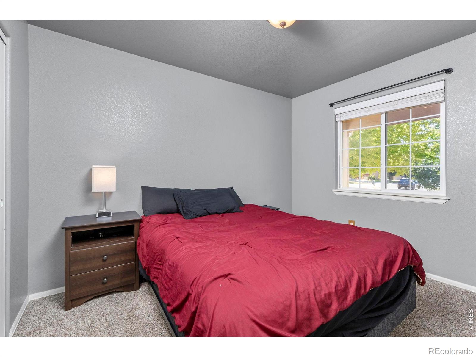 MLS Image #10 for 253  sand grouse drive,loveland, Colorado