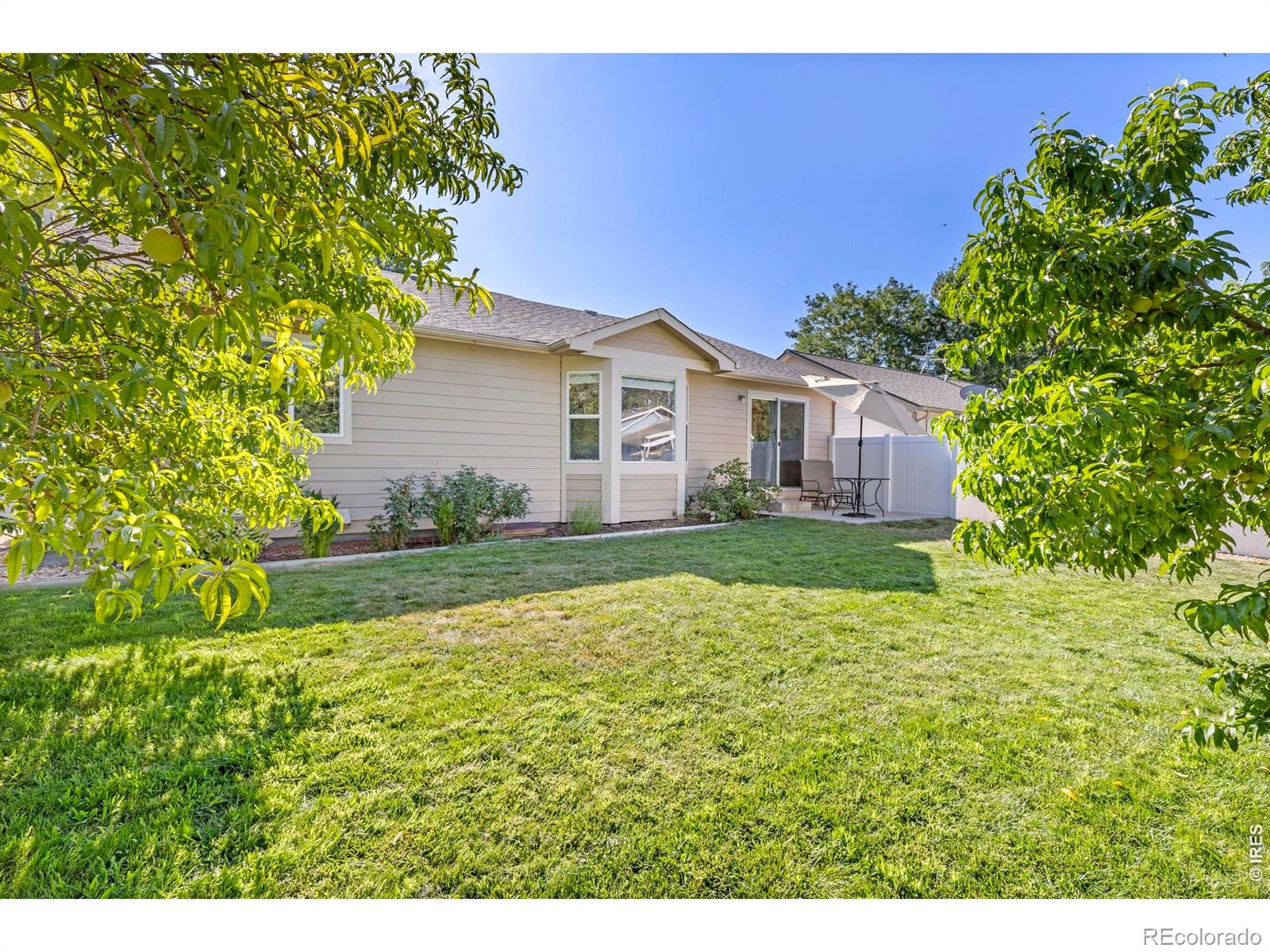 MLS Image #16 for 253  sand grouse drive,loveland, Colorado