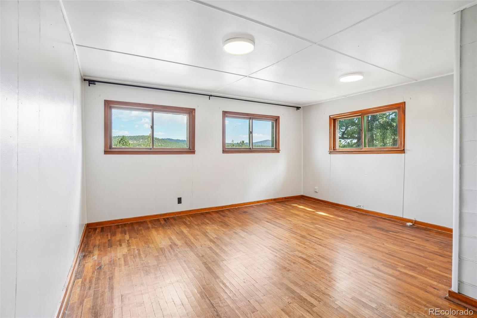 MLS Image #10 for 29980  fir drive,evergreen, Colorado