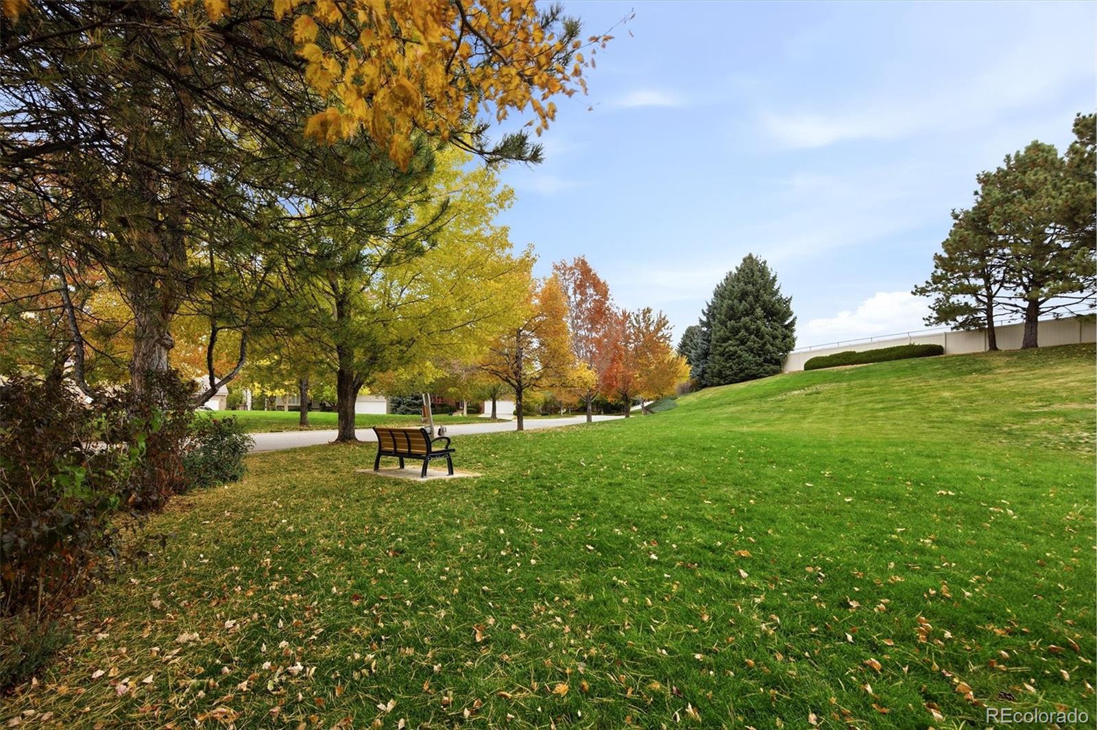 MLS Image #3 for 44  golden eagle road,littleton, Colorado