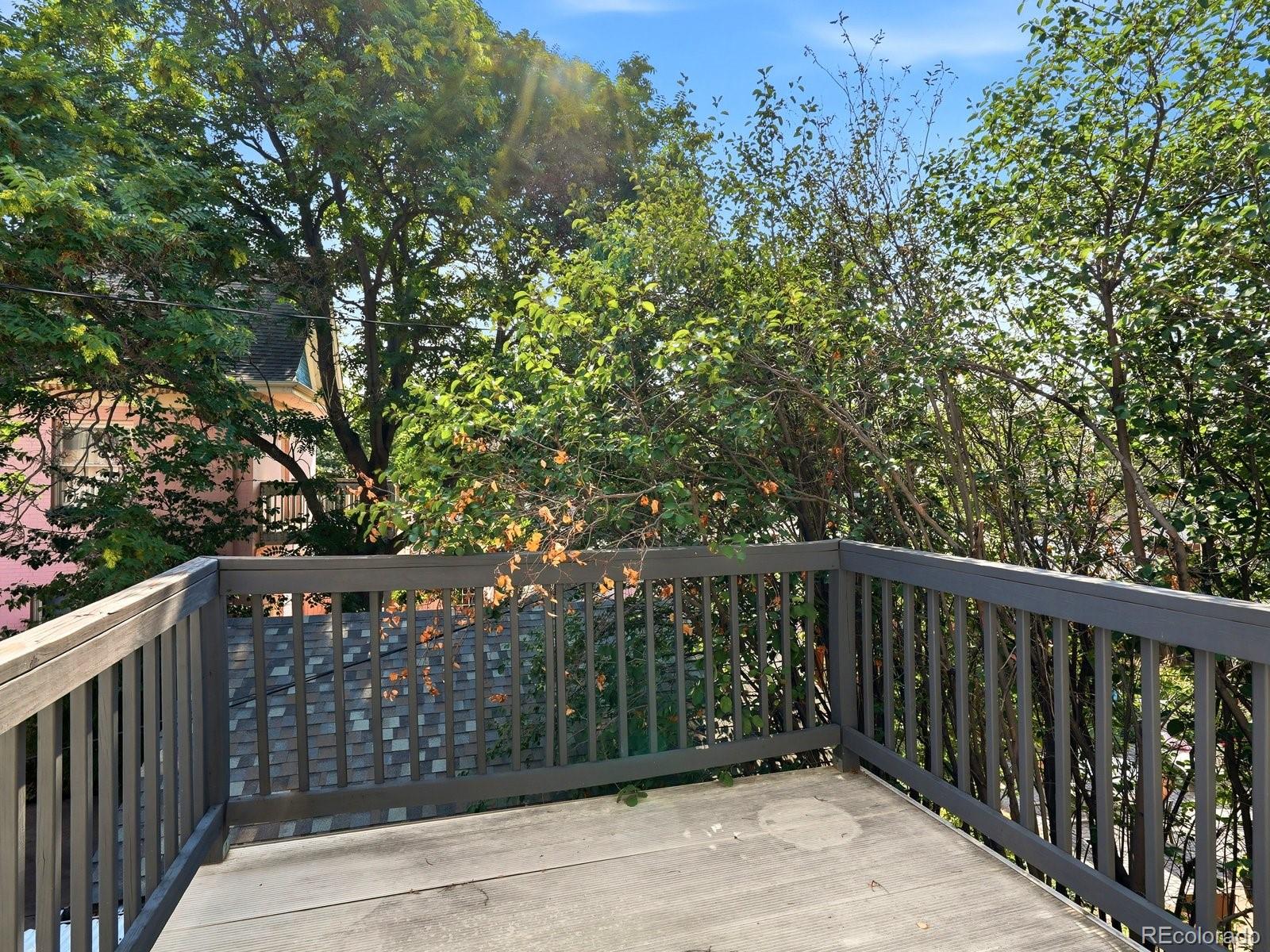 MLS Image #20 for 784 n corona street,denver, Colorado