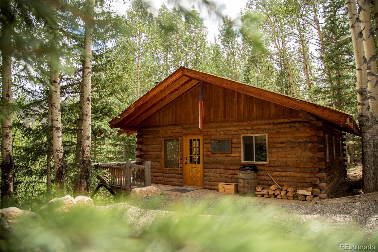 MLS Image #0 for 1001  cr 17 ,lake city, Colorado