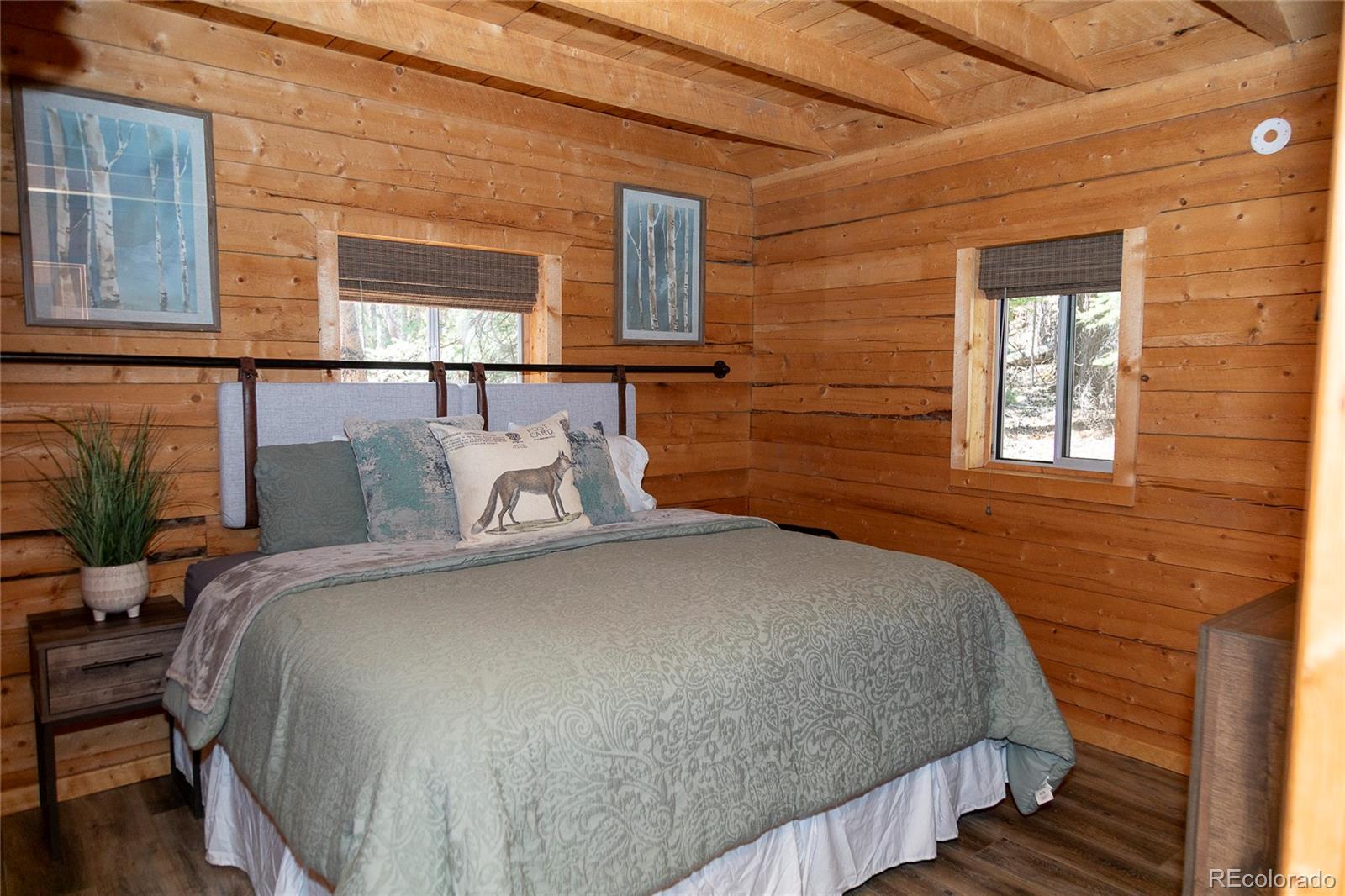 MLS Image #16 for 1001  cr 17 ,lake city, Colorado