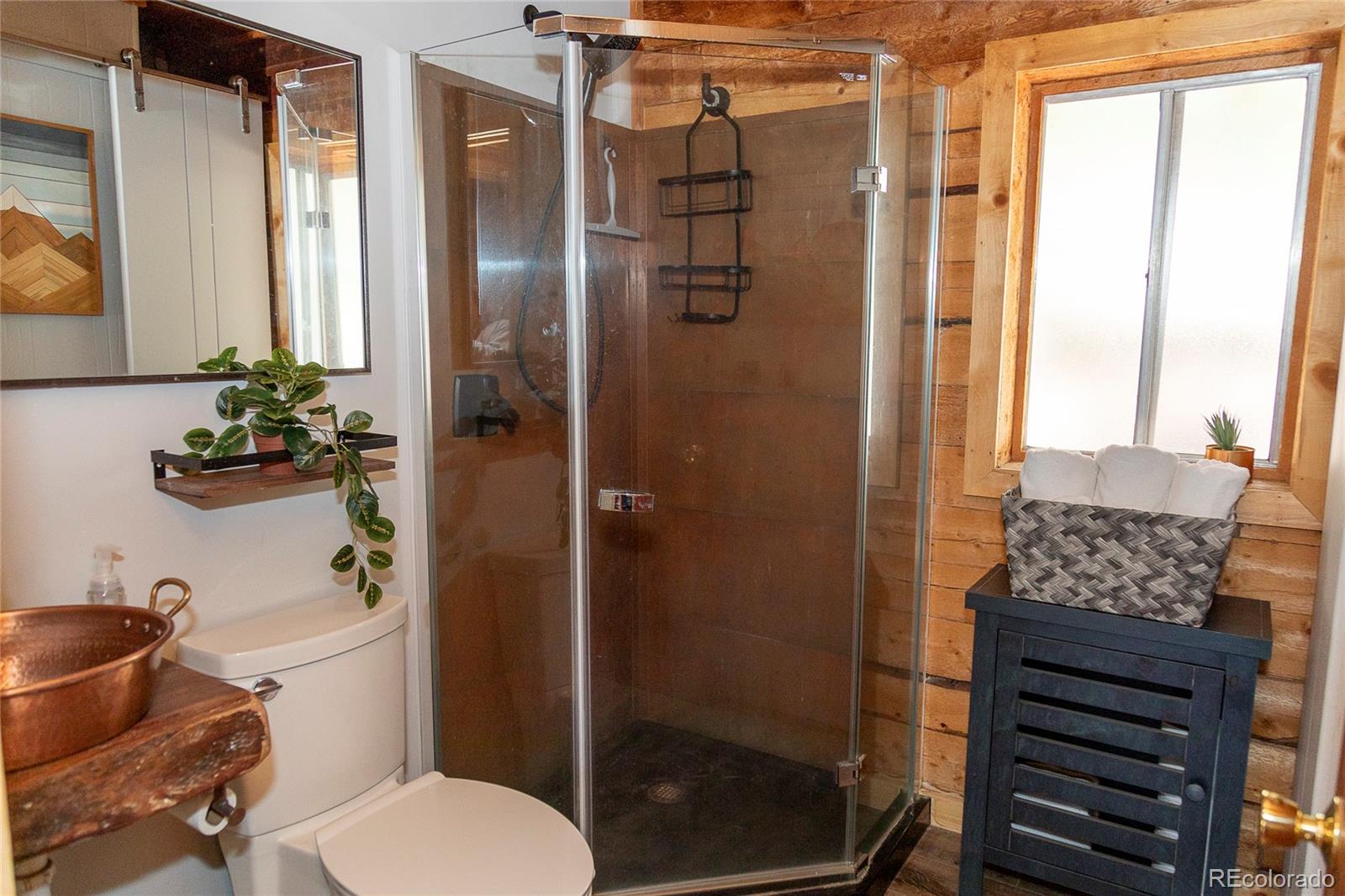MLS Image #17 for 1001  cr 17 ,lake city, Colorado