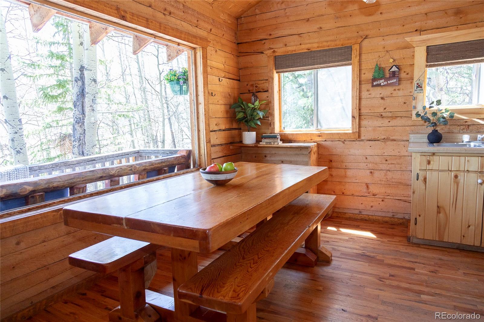 MLS Image #20 for 1001  cr 17 ,lake city, Colorado