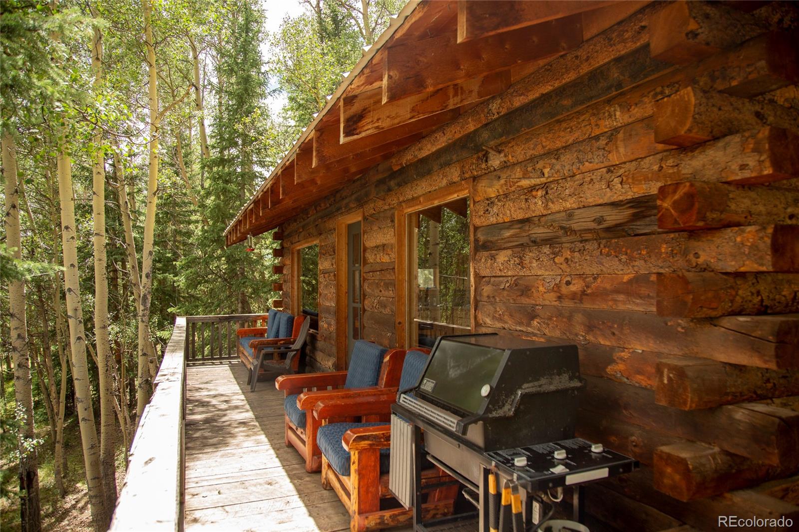 MLS Image #4 for 1001  cr 17 ,lake city, Colorado