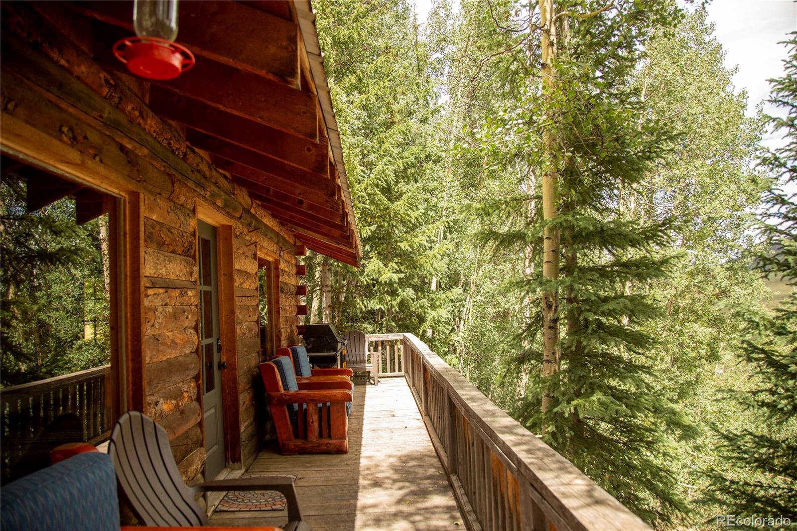 MLS Image #6 for 1001  cr 17 ,lake city, Colorado