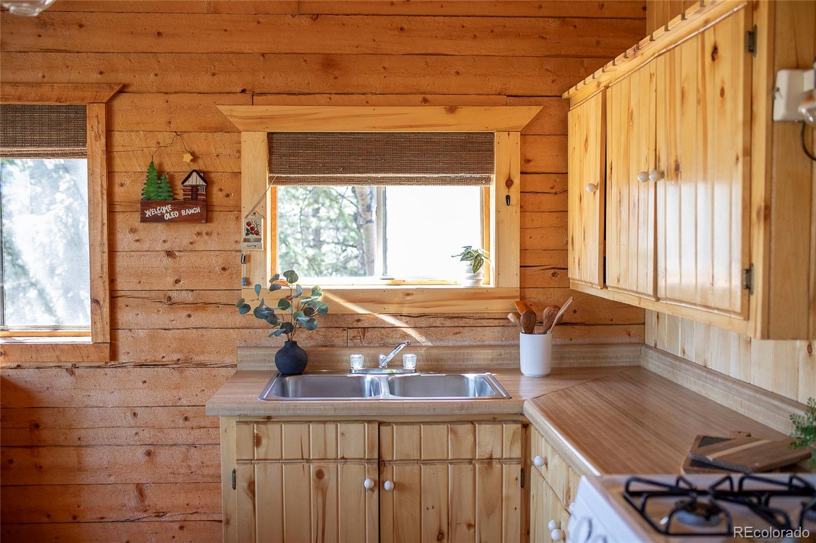 MLS Image #8 for 1001  cr 17 ,lake city, Colorado