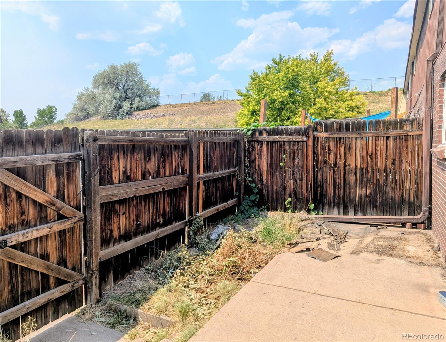 MLS Image #14 for 5661 s lowell boulevard,littleton, Colorado