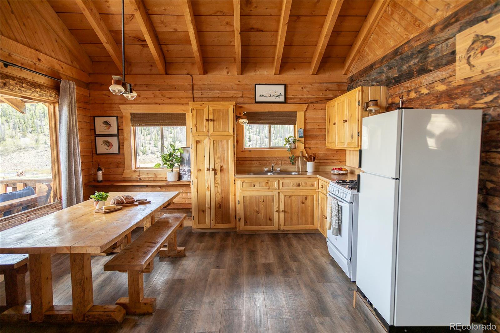 MLS Image #10 for 1001  cr 17 ,lake city, Colorado