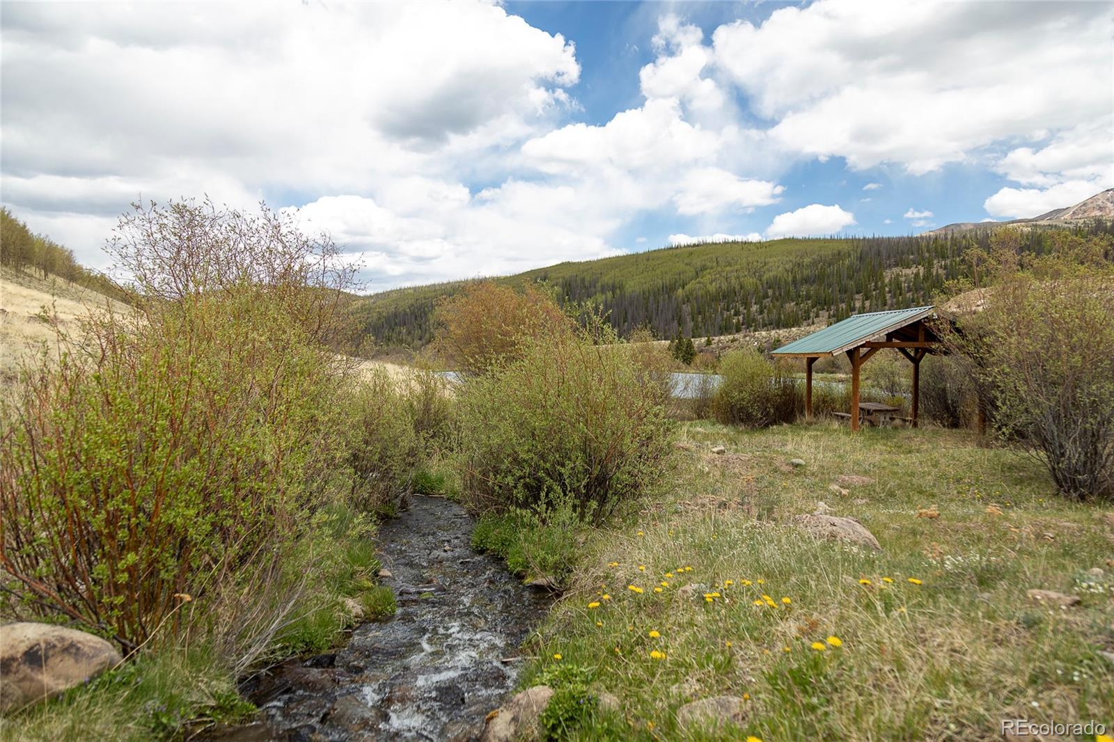 MLS Image #13 for 1001  cr 17 ,lake city, Colorado