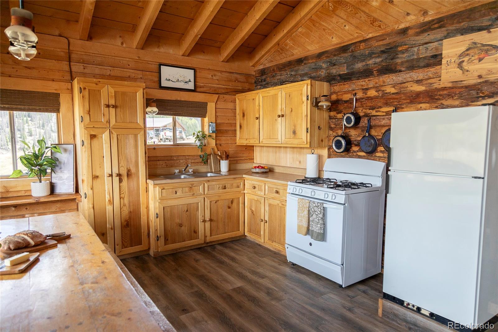 MLS Image #3 for 1001  cr 17 ,lake city, Colorado