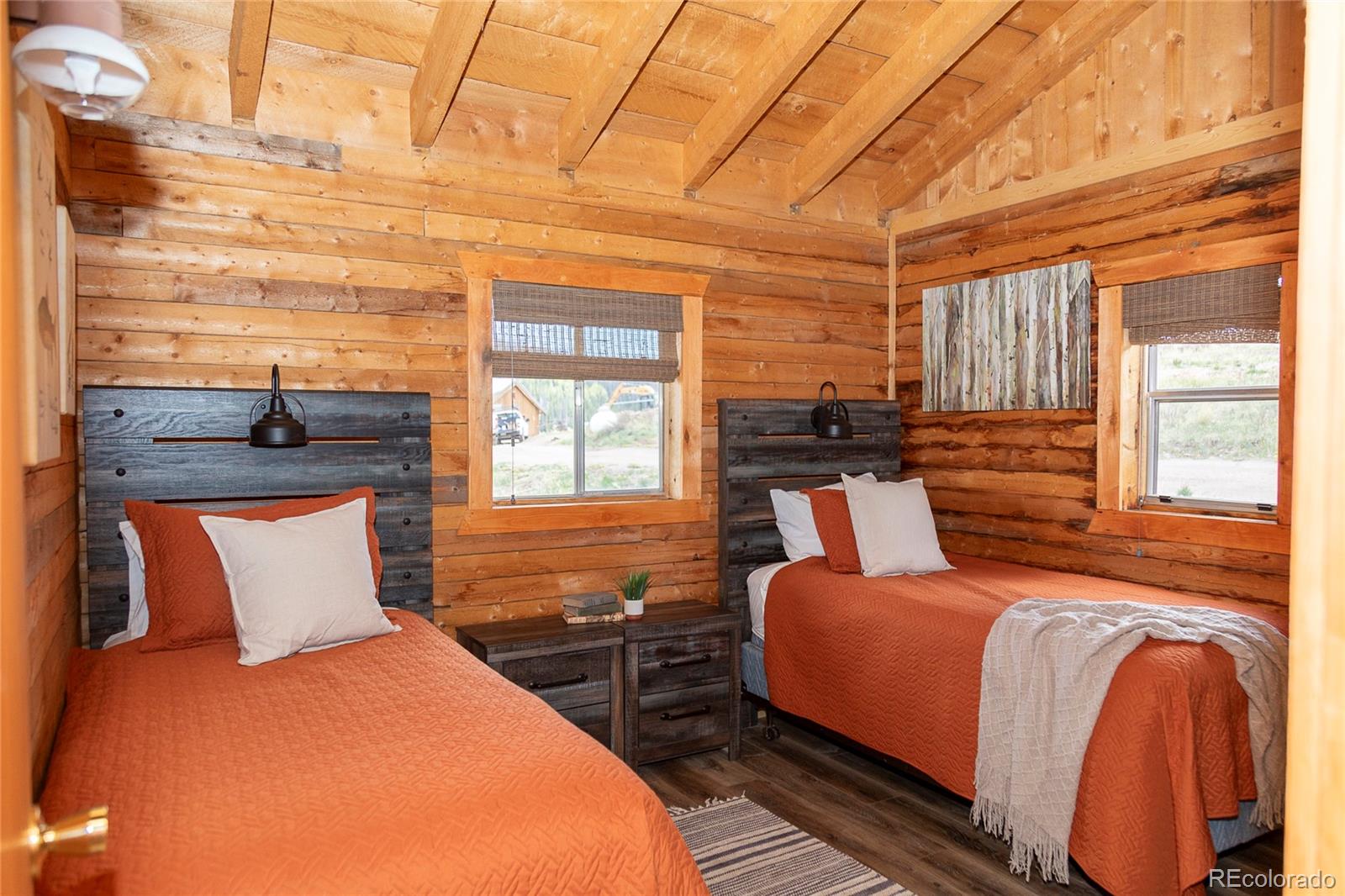 MLS Image #4 for 1001  cr 17 ,lake city, Colorado
