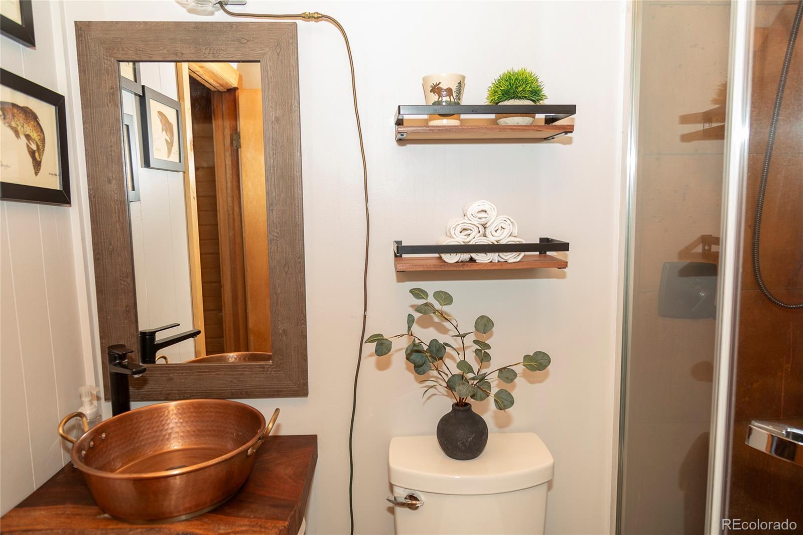 MLS Image #6 for 1001  cr 17 ,lake city, Colorado